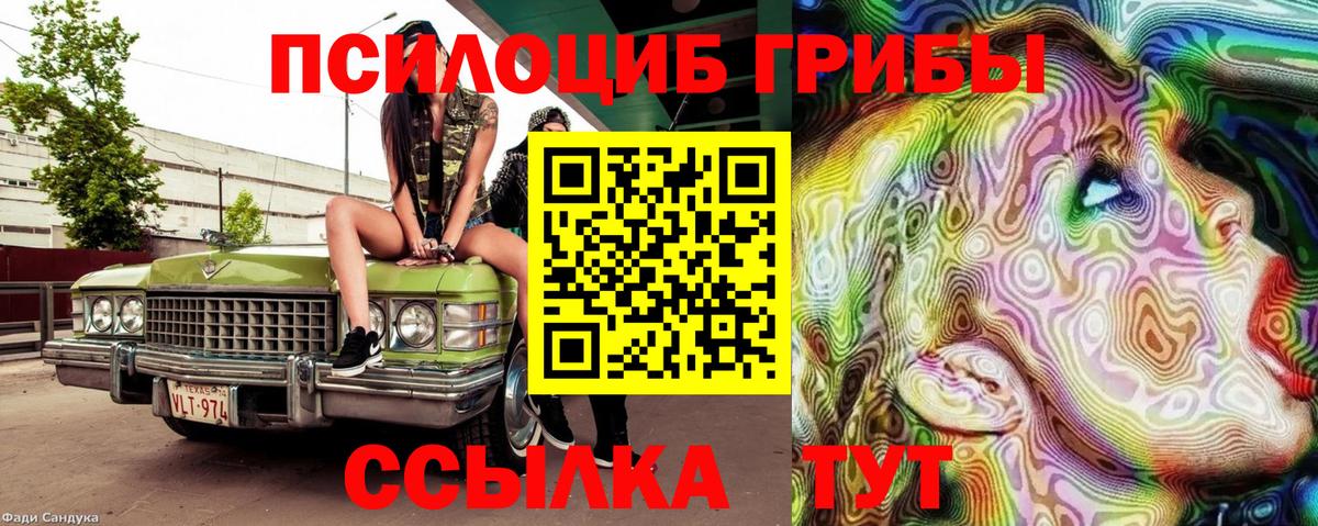 Псилоцибиновые грибы Psilocybine cubensis Гудермес